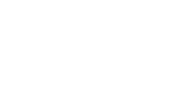 TEAM SPIRITS 